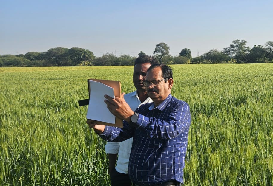 Agricultural Research Trial Plot