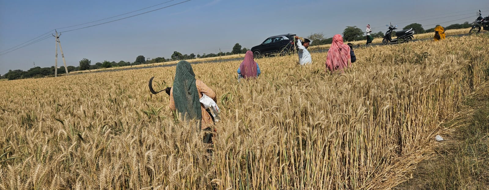 Radhika Seeds Farmer Commitment