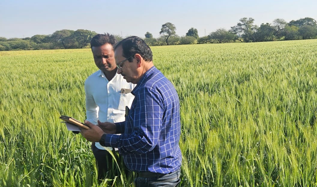 Agricultural Crop Inspection